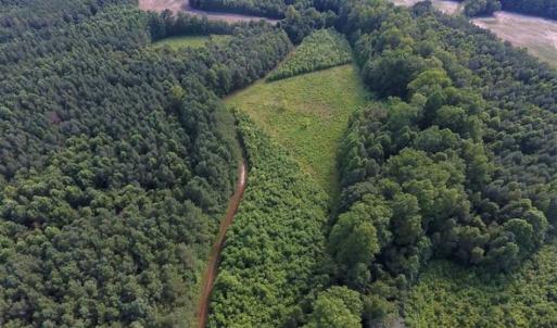 Photo of SOLD!!  65.24 Acres of Timber and Hunting Land For Sale in Nash County NC!