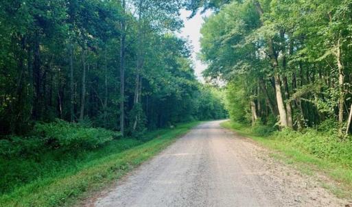 Photo of SOLD!!  65.24 Acres of Timber and Hunting Land For Sale in Nash County NC!