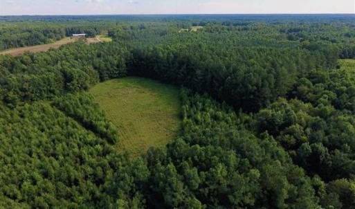 Photo of SOLD!!  65.24 Acres of Timber and Hunting Land For Sale in Nash County NC!