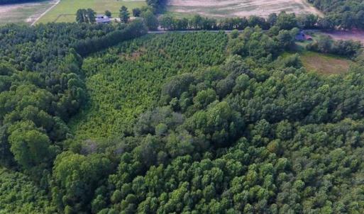 Photo of SOLD!!  65.24 Acres of Timber and Hunting Land For Sale in Nash County NC!