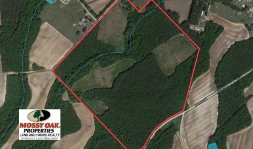 Photo of SOLD!!  65.24 Acres of Timber and Hunting Land For Sale in Nash County NC!
