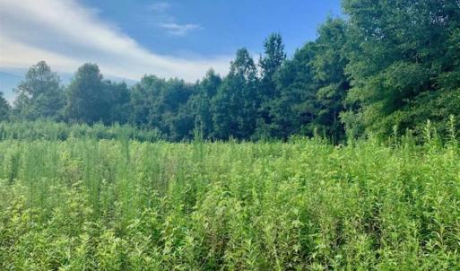 Photo of SOLD!!  65.24 Acres of Timber and Hunting Land For Sale in Nash County NC!
