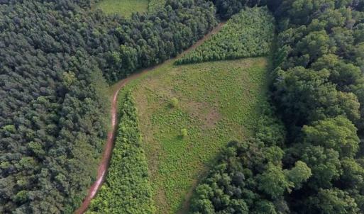 Photo of SOLD!!  65.24 Acres of Timber and Hunting Land For Sale in Nash County NC!