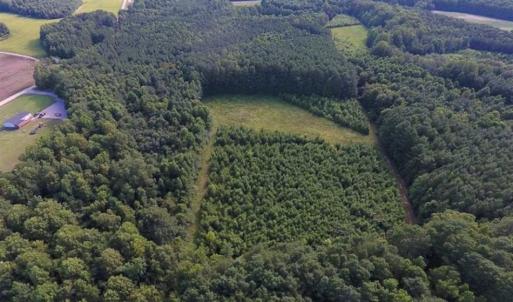 Photo of SOLD!!  65.24 Acres of Timber and Hunting Land For Sale in Nash County NC!