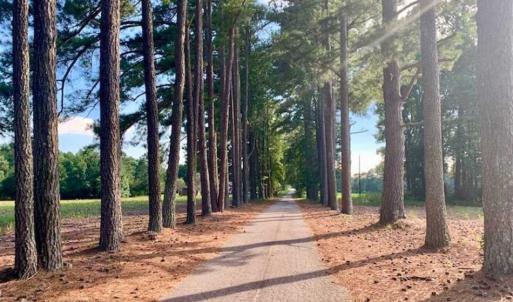 Photo of SOLD!!  65.24 Acres of Timber and Hunting Land For Sale in Nash County NC!