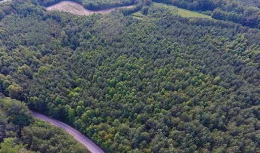 Photo of SOLD!!  65.24 Acres of Timber and Hunting Land For Sale in Nash County NC!