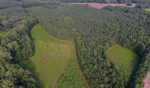Photo of SOLD!!  65.24 Acres of Timber and Hunting Land For Sale in Nash County NC!
