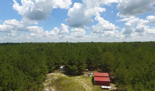 Photo of 98.03 Acres of Hunting and Timber Land for Sale in Horry County SC!
