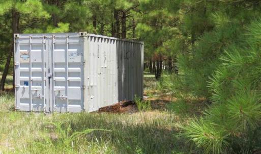 Photo of 98.03 Acres of Hunting and Timber Land for Sale in Horry County SC!
