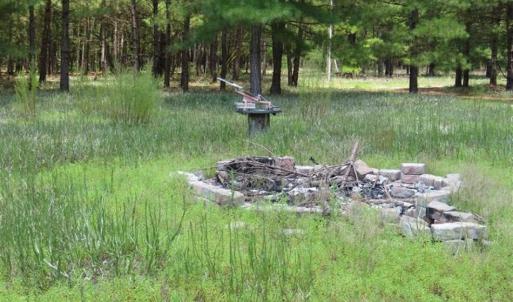 Photo of 98.03 Acres of Hunting and Timber Land for Sale in Horry County SC!