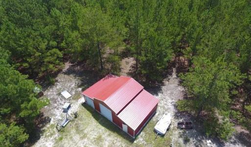 Photo of 98.03 Acres of Hunting and Timber Land for Sale in Horry County SC!