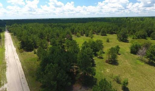 Photo of 98.03 Acres of Hunting and Timber Land for Sale in Horry County SC!