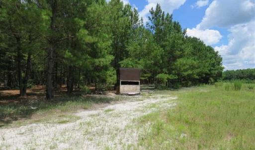 Photo of 98.03 Acres of Hunting and Timber Land for Sale in Horry County SC!