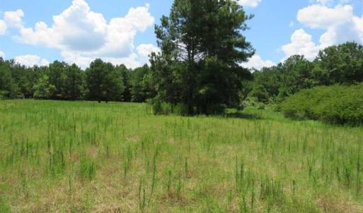 Photo of 98.03 Acres of Hunting and Timber Land for Sale in Horry County SC!