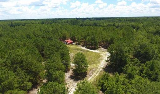 Photo of 98.03 Acres of Hunting and Timber Land for Sale in Horry County SC!