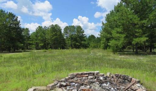 Photo of 98.03 Acres of Hunting and Timber Land for Sale in Horry County SC!