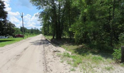 Photo of 98.03 Acres of Hunting and Timber Land for Sale in Horry County SC!