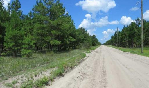 Photo of 98.03 Acres of Hunting and Timber Land for Sale in Horry County SC!