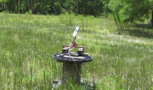 Photo of 98.03 Acres of Hunting and Timber Land for Sale in Horry County SC!