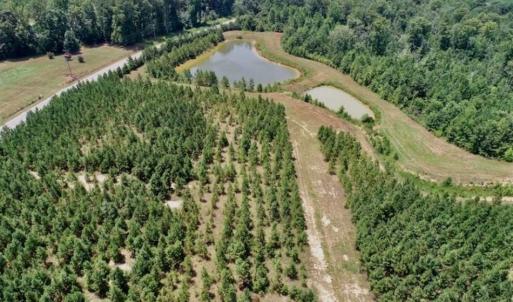 Photo of 28.67 Acres of Land For Sale in Gates County NC!