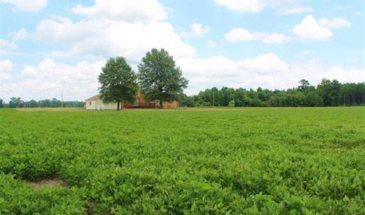 Photo of SOLD!!  2.16 Acres of Residential Land with Home For Sale in Greensville County, VA!