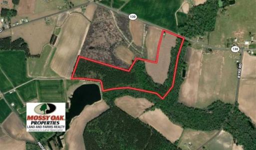 Photo of SOLD!!  45 Acres of Farm and Timber Land For Sale in Robeson County NC!