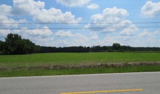 Photo of SOLD!!  45 Acres of Farm and Timber Land For Sale in Robeson County NC!