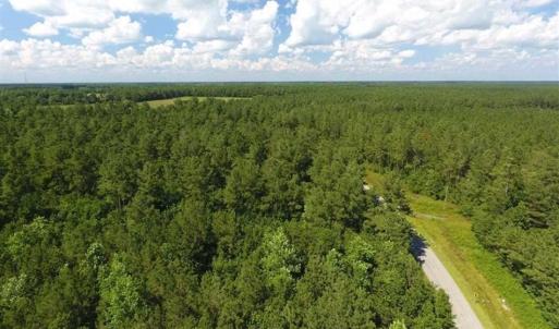 Photo of SOLD!!  38.74 Acres of Hunting and Timber Land For Sale in Brunswick County NC!