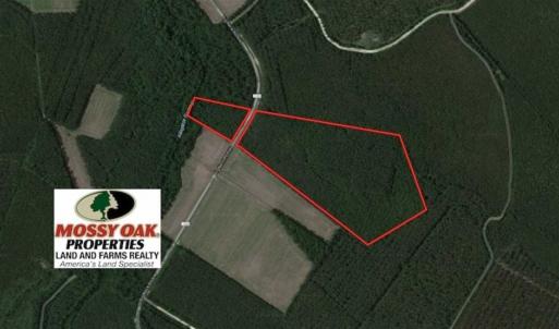 Photo of SOLD!!  38.74 Acres of Hunting and Timber Land For Sale in Brunswick County NC!