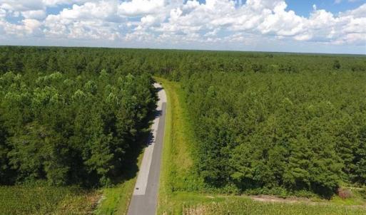 Photo of SOLD!!  38.74 Acres of Hunting and Timber Land For Sale in Brunswick County NC!