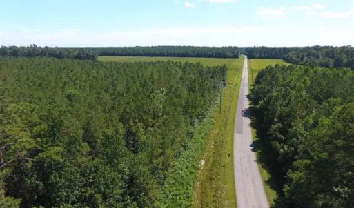 Photo of SOLD!!  38.74 Acres of Hunting and Timber Land For Sale in Brunswick County NC!
