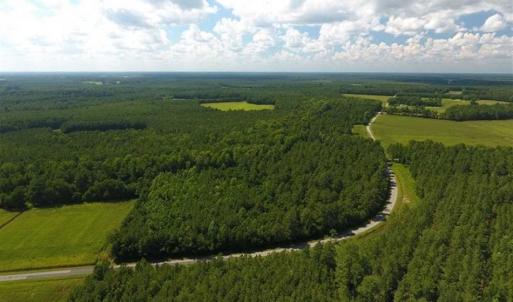 Photo of SOLD!!  38.74 Acres of Hunting and Timber Land For Sale in Brunswick County NC!