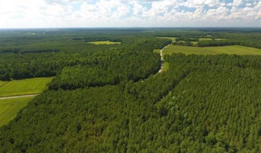 Photo of SOLD!!  38.74 Acres of Hunting and Timber Land For Sale in Brunswick County NC!