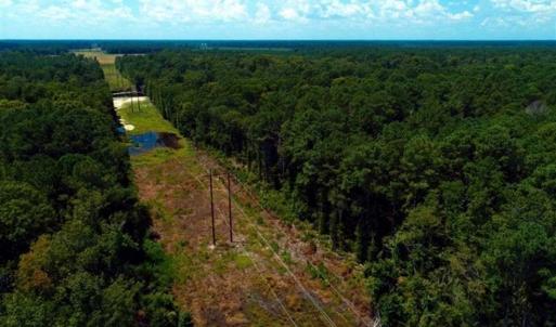 Photo of REDUCED! 17 Acres of Residential Land For Sale in Duplin County NC!