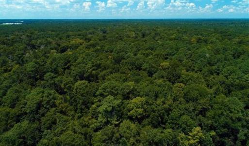 Photo of REDUCED! 17 Acres of Residential Land For Sale in Duplin County NC!