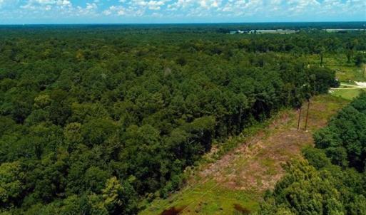 Photo of REDUCED! 17 Acres of Residential Land For Sale in Duplin County NC!