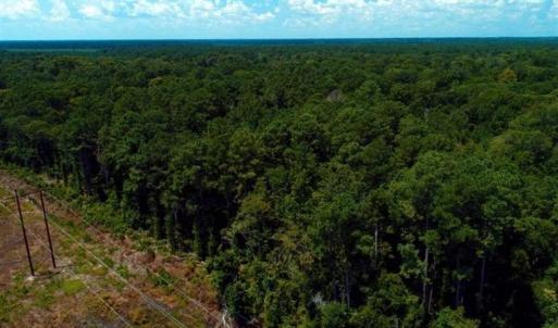 Photo of REDUCED! 17 Acres of Residential Land For Sale in Duplin County NC!