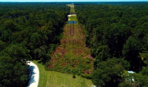 Photo of REDUCED! 17 Acres of Residential Land For Sale in Duplin County NC!