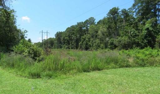 Photo of REDUCED! 17 Acres of Residential Land For Sale in Duplin County NC!