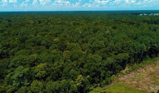 Photo of REDUCED! 17 Acres of Residential Land For Sale in Duplin County NC!