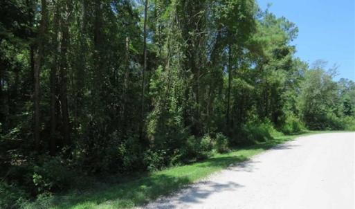 Photo of REDUCED! 17 Acres of Residential Land For Sale in Duplin County NC!