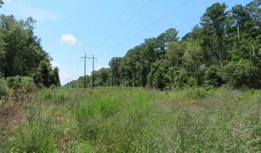 Photo of REDUCED! 17 Acres of Residential Land For Sale in Duplin County NC!