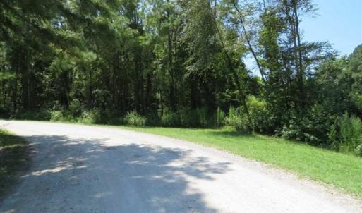 Photo of REDUCED! 17 Acres of Residential Land For Sale in Duplin County NC!