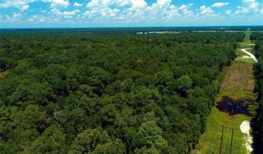 Photo of REDUCED! 17 Acres of Residential Land For Sale in Duplin County NC!