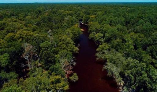 Photo of REDUCED! 17 Acres of Residential Land For Sale in Duplin County NC!