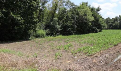 Photo of SOLD!!  13.67 Acres of Timber and Recreational Land For Sale in Cumberland County NC!
