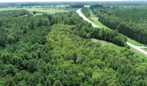 Photo of SOLD!!  13.67 Acres of Timber and Recreational Land For Sale in Cumberland County NC!