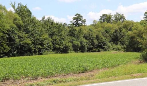 Photo of SOLD!!  13.67 Acres of Timber and Recreational Land For Sale in Cumberland County NC!