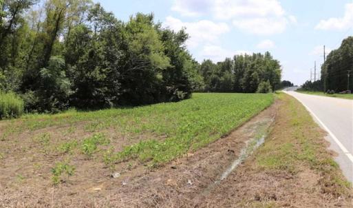 Photo of SOLD!!  13.67 Acres of Timber and Recreational Land For Sale in Cumberland County NC!