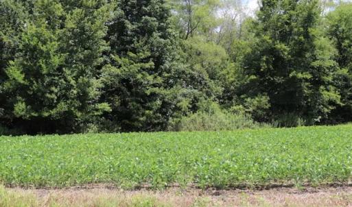 Photo of SOLD!!  13.67 Acres of Timber and Recreational Land For Sale in Cumberland County NC!